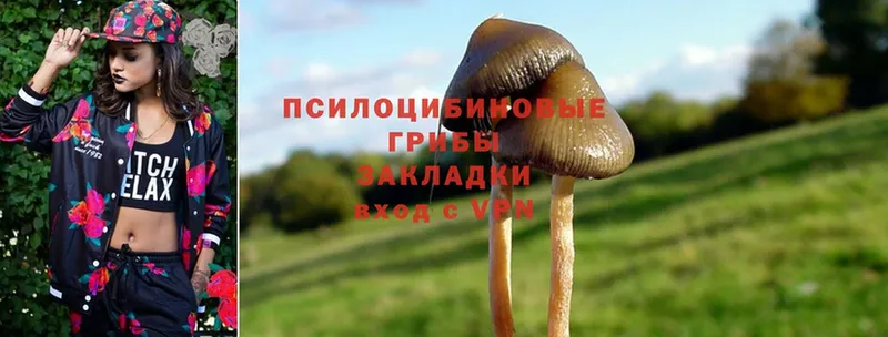 Галлюциногенные грибы Psilocybe  хочу наркоту  Алапаевск 